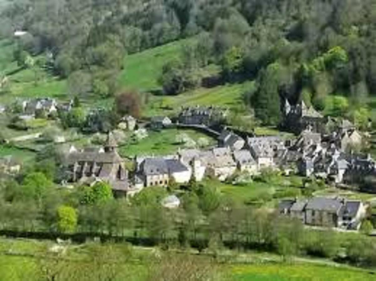Gite De L Aspre Fontanges Exteriér fotografie